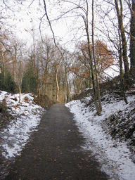 Path to the Wilhelminatoren tower at Vaals