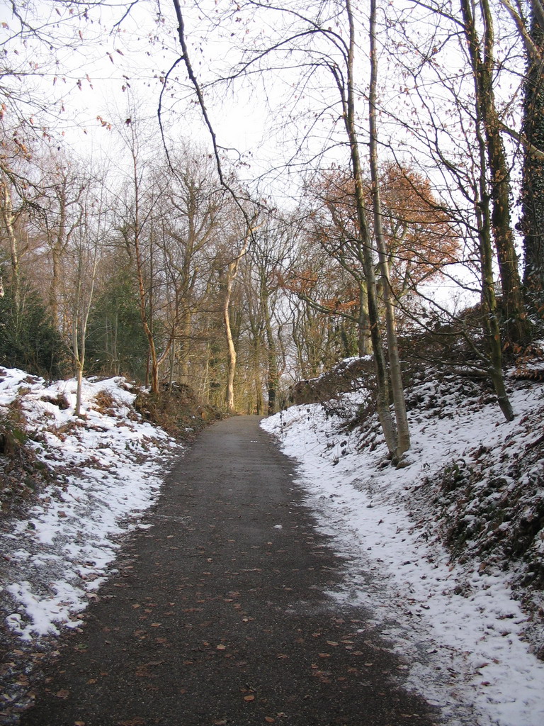 Path to the Wilhelminatoren tower at Vaals