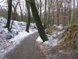 Path to the Wilhelminatoren tower at Vaals