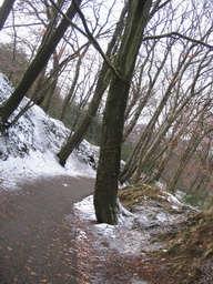 Path to the Wilhelminatoren tower at Vaals