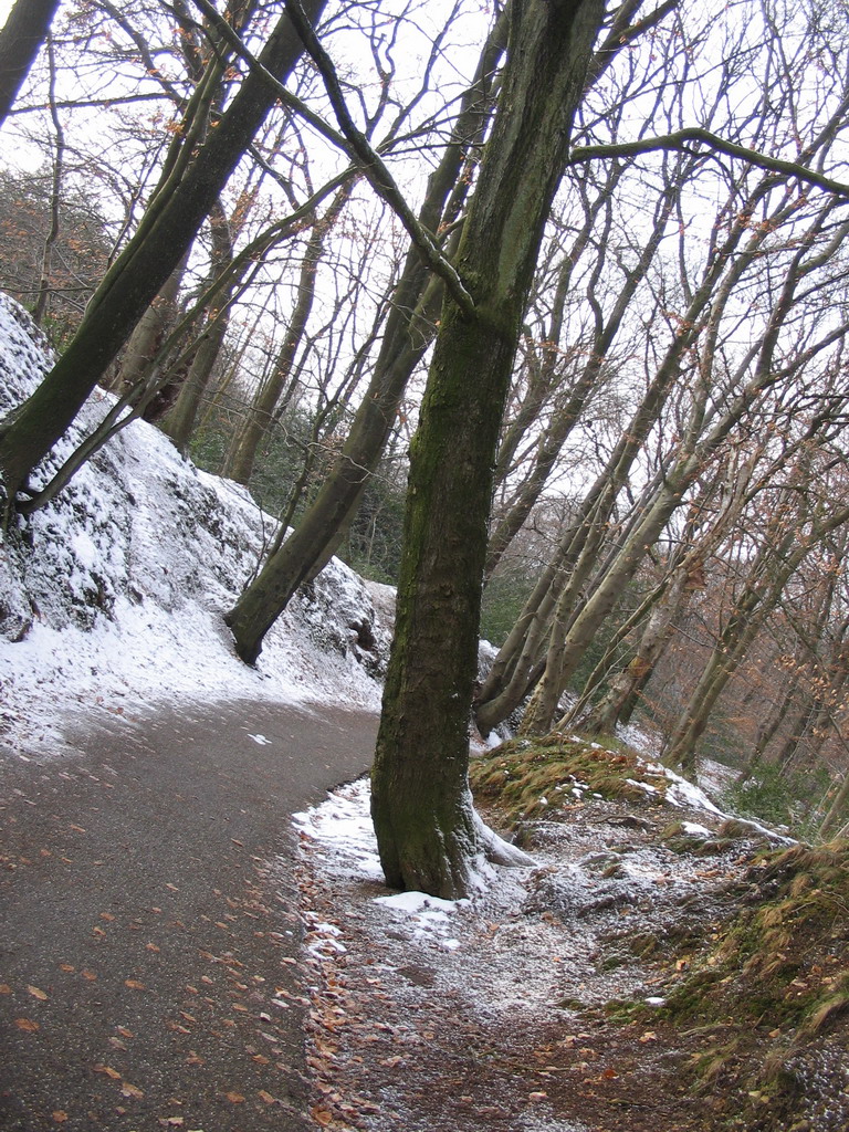 Path to the Wilhelminatoren tower at Vaals