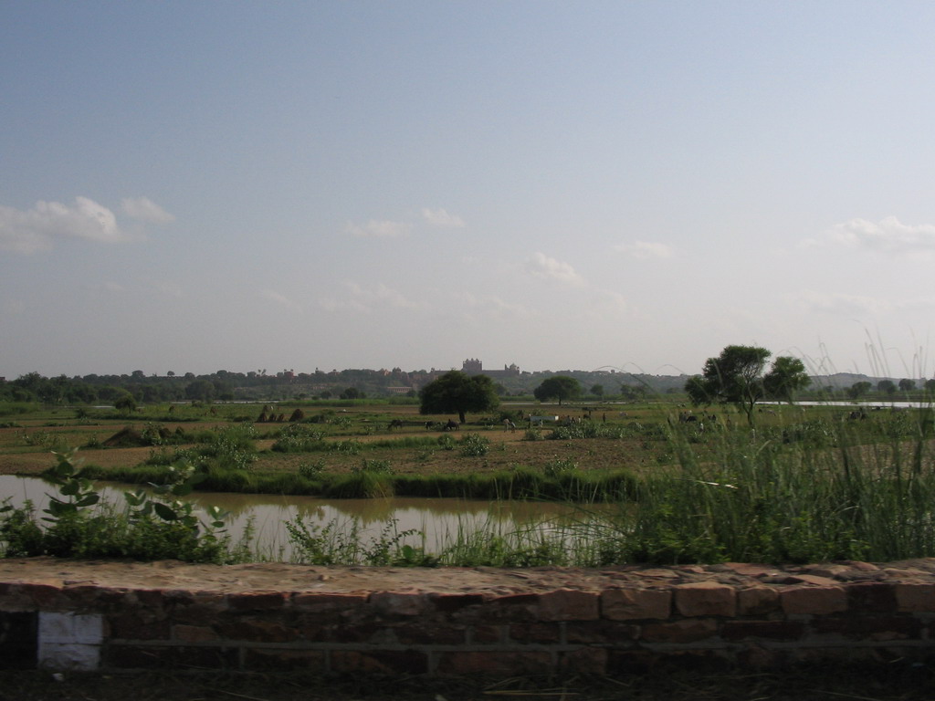 Countryside on the road from Jaipur to Agra