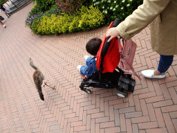 Max with a Red-legged Seriema in front of the Casa Havana restaurant at the Vogelpark Avifauna zoo