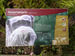 Explanation on the Emperor Tamarin at the Nuboso area at the Vogelpark Avifauna zoo