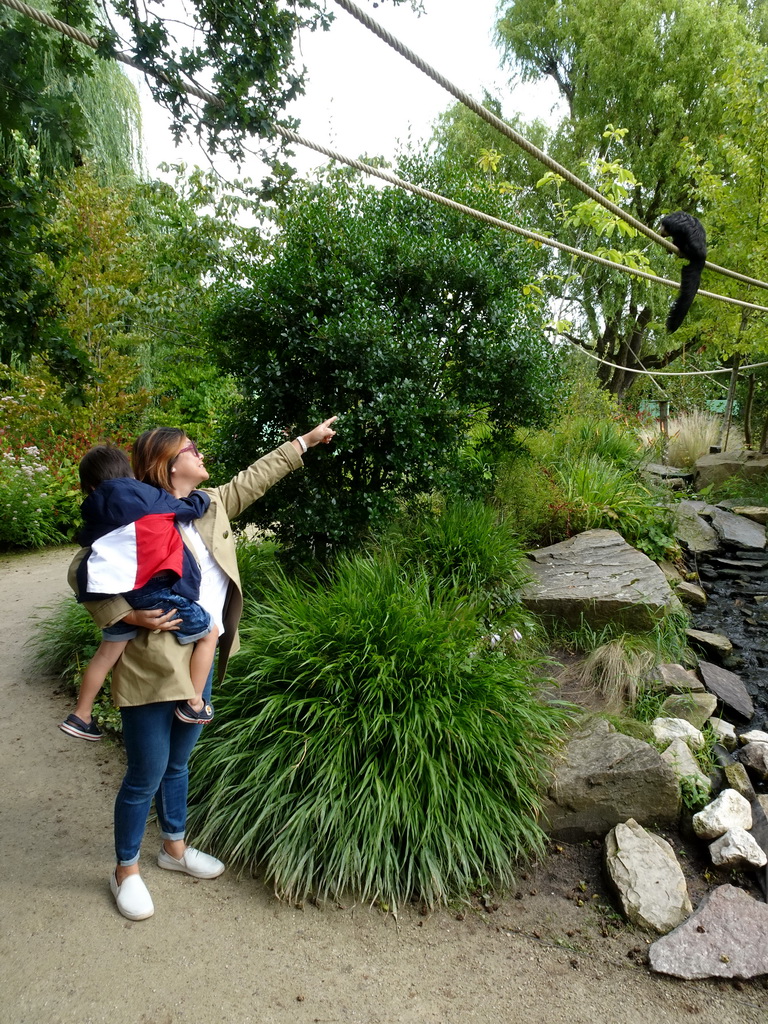 Miaomiao and Max with a White-faced Saki at the Nuboso area at the Vogelpark Avifauna zoo