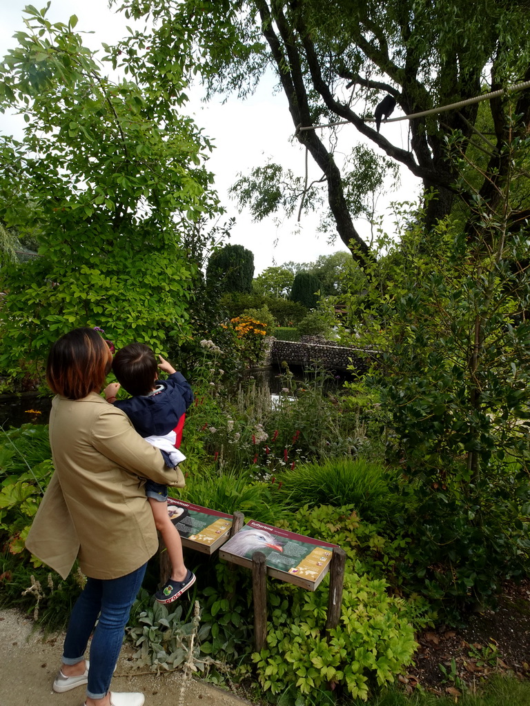 Miaomiao and Max with a White-faced Saki at the Nuboso area at the Vogelpark Avifauna zoo