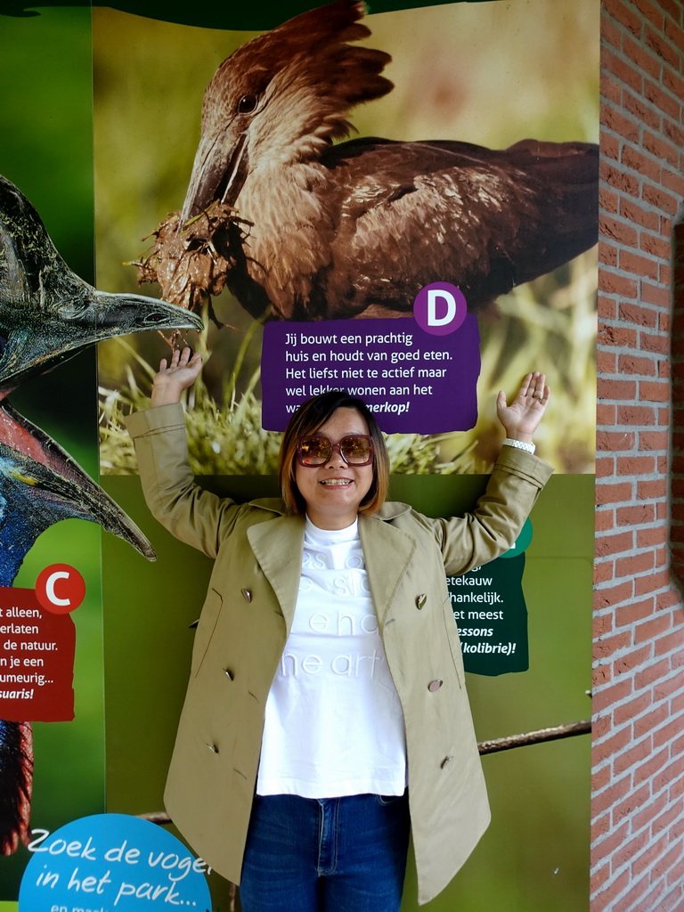 Miaomiao with photographs of birds at the Vogelpark Avifauna zoo