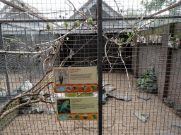 Cockatiels and Budgerigars at the Vogelpark Avifauna zoo, with explanation