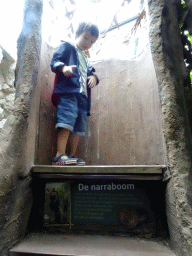 Max at a Narraboom tree at the Philippines hall of the Tropenhal building at the Vogelpark Avifauna zoo