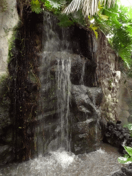 Waterfall at the Philippines hall of the Tropenhal building at the Vogelpark Avifauna zoo