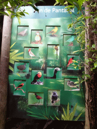 Explanation on the birds at the Pantanal hall of the Tropenhal building at the Vogelpark Avifauna zoo