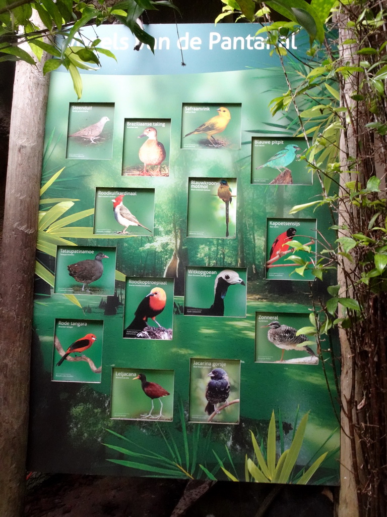 Explanation on the birds at the Pantanal hall of the Tropenhal building at the Vogelpark Avifauna zoo