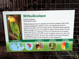 Explanation on the White-bellied Caique at the Pantanal hall of the Tropenhal building at the Vogelpark Avifauna zoo