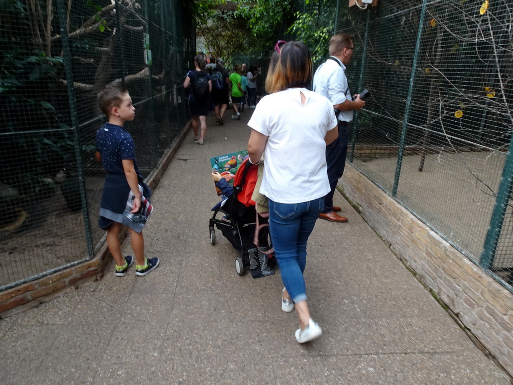 Miaomiao and Max at the Pantanal hall of the Tropenhal building at the Vogelpark Avifauna zoo