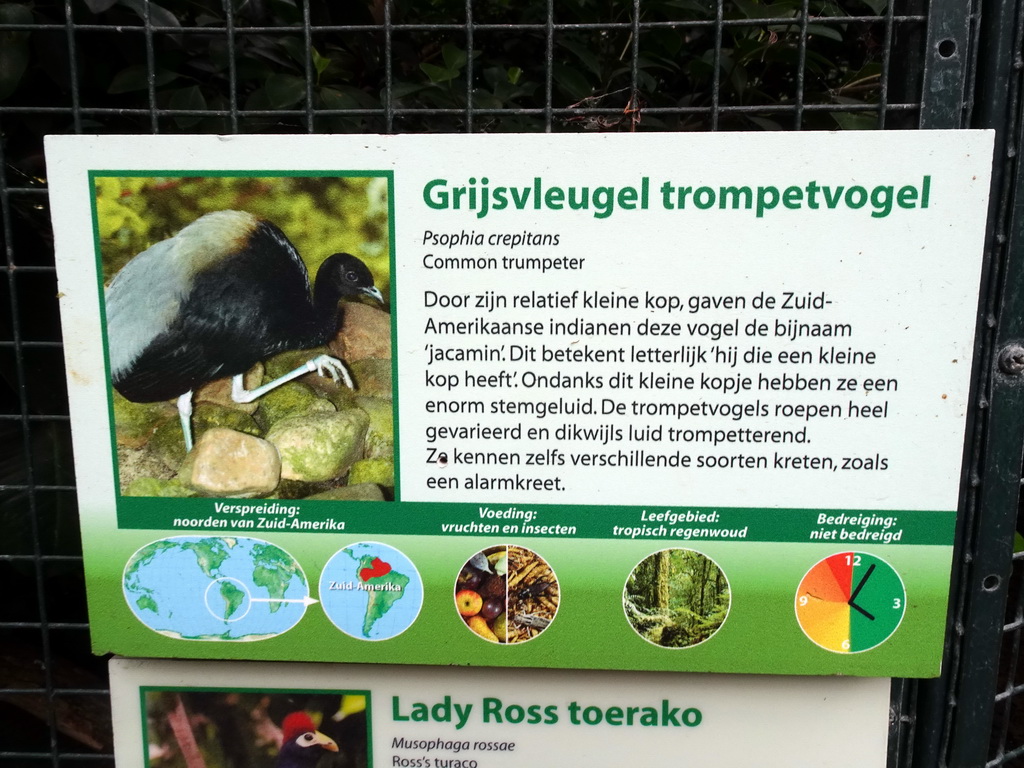 Explanation on the Common Trumpeter at the Pantanal hall of the Tropenhal building at the Vogelpark Avifauna zoo