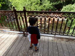 Max on the balcony of the Casa Havana restaurant at the Vogelpark Avifauna zoo, with a view on the Cuba Aviary with American Flamingos
