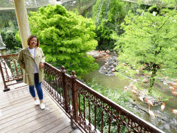 Miaomiao on the balcony of the Casa Havana restaurant at the Vogelpark Avifauna zoo, with a view on the Cuba Aviary with American Flamingos