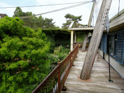 The balcony of the Casa Havana restaurant and the Cuba Aviary at the Vogelpark Avifauna zoo