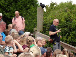 Zookeeper and bird at the grandstand at the Vogelpark Avifauna zoo, during the bird show