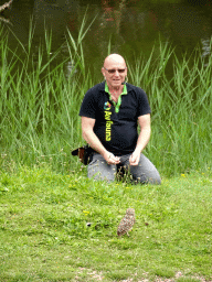 Zookeeper with a Burrowing Owl at the Vogelpark Avifauna zoo, during the bird show