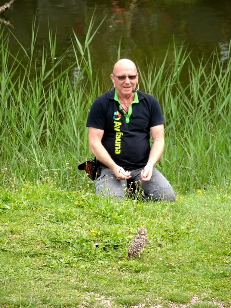 Zookeeper with a Burrowing Owl at the Vogelpark Avifauna zoo, during the bird show
