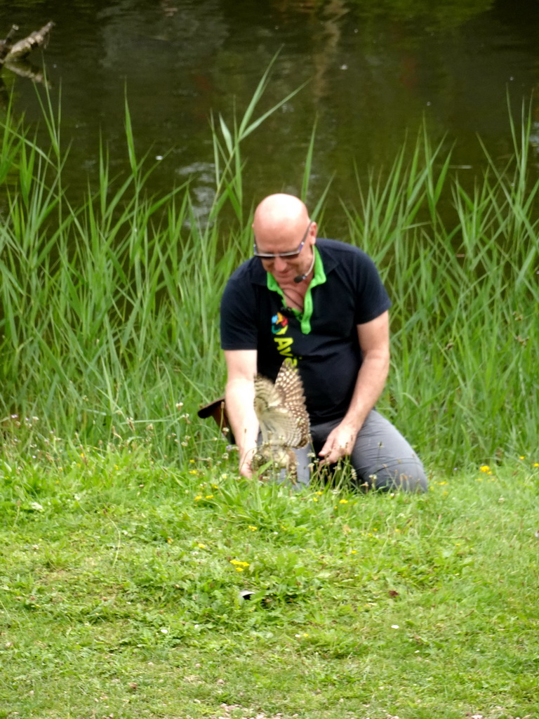 Zookeeper with a Burrowing Owl at the Vogelpark Avifauna zoo, during the bird show