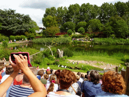Birds at the Vogelpark Avifauna zoo, during the bird show