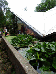 Front of the Lori Landing building at the Vogelpark Avifauna zoo