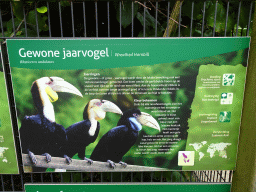 Explanation on the Wreathed Hornbill at the Vogelpark Avifauna zoo