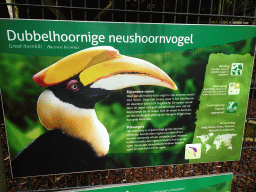 Explanation on the Great Hornbill at the Vogelpark Avifauna zoo
