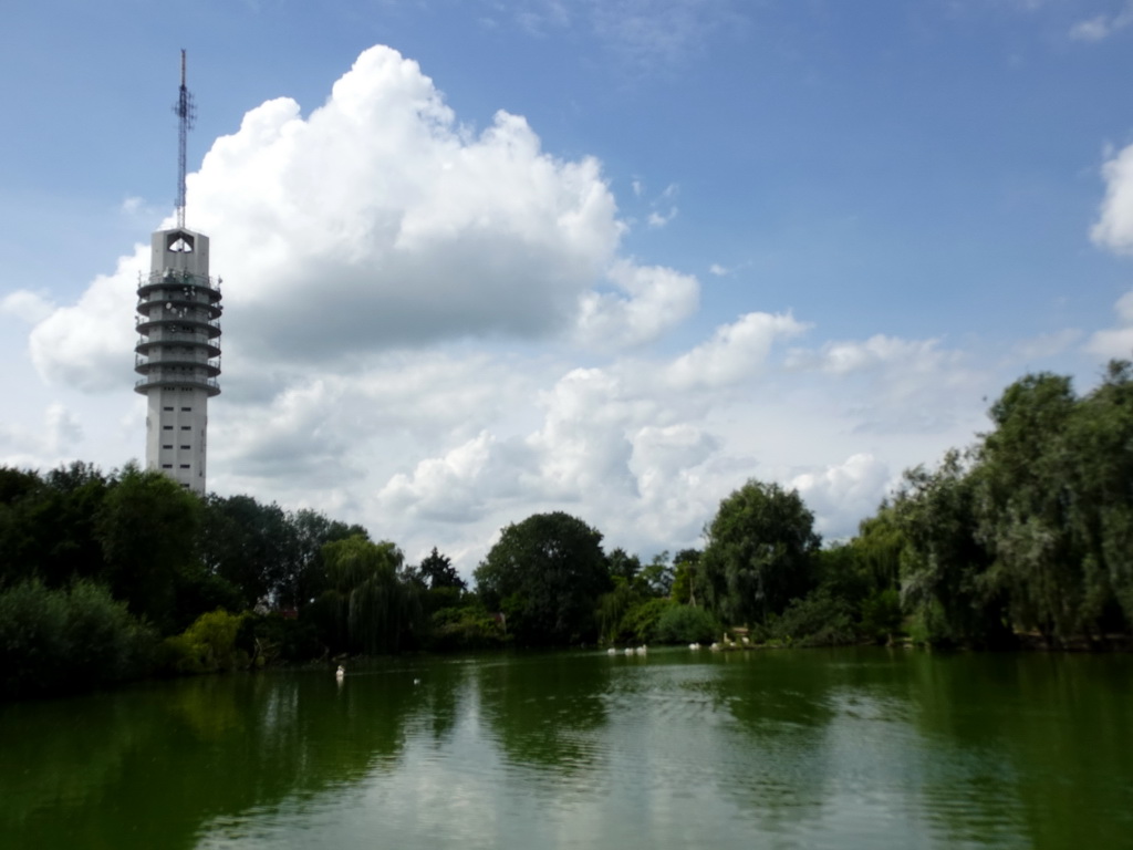 The southern pond with Great White Pelicans at the Vogelpark Avifauna zoo, and the Alphense Zendmast tower