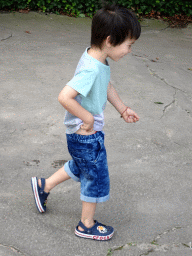 Max walking around the southern pond at the Vogelpark Avifauna zoo