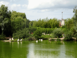 The southern pond with Great White Pelicans at the Vogelpark Avifauna zoo, and the Zwembad De Hoorn swimming pool