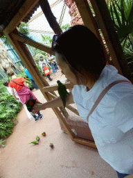 Miaomiao with Rainbow Loris at the Lori Landing building at the Vogelpark Avifauna zoo