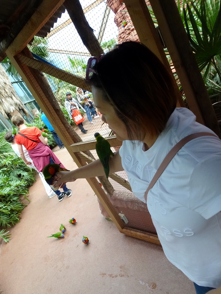 Miaomiao with Rainbow Loris at the Lori Landing building at the Vogelpark Avifauna zoo