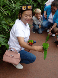 Miaomiao with Rainbow Loris at the Lori Landing building at the Vogelpark Avifauna zoo