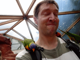 Tim with Rainbow Loris at the Lori Landing building at the Vogelpark Avifauna zoo