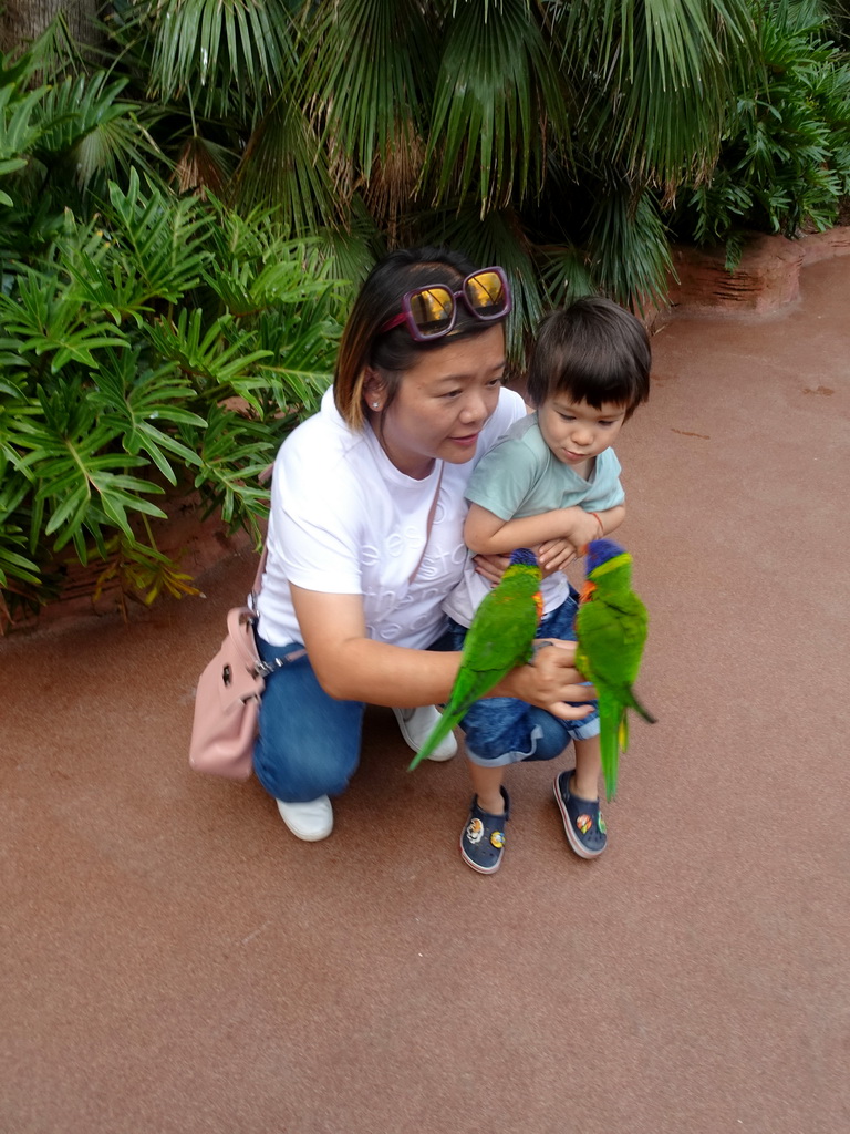 Miaomiao and Max with Rainbow Loris at the Lori Landing building at the Vogelpark Avifauna zoo