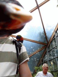 Tim with Rainbow Loris at the Lori Landing building at the Vogelpark Avifauna zoo