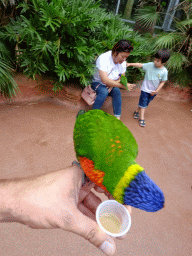 Tim, Miaomiao and Max with Rainbow Loris at the Lori Landing building at the Vogelpark Avifauna zoo