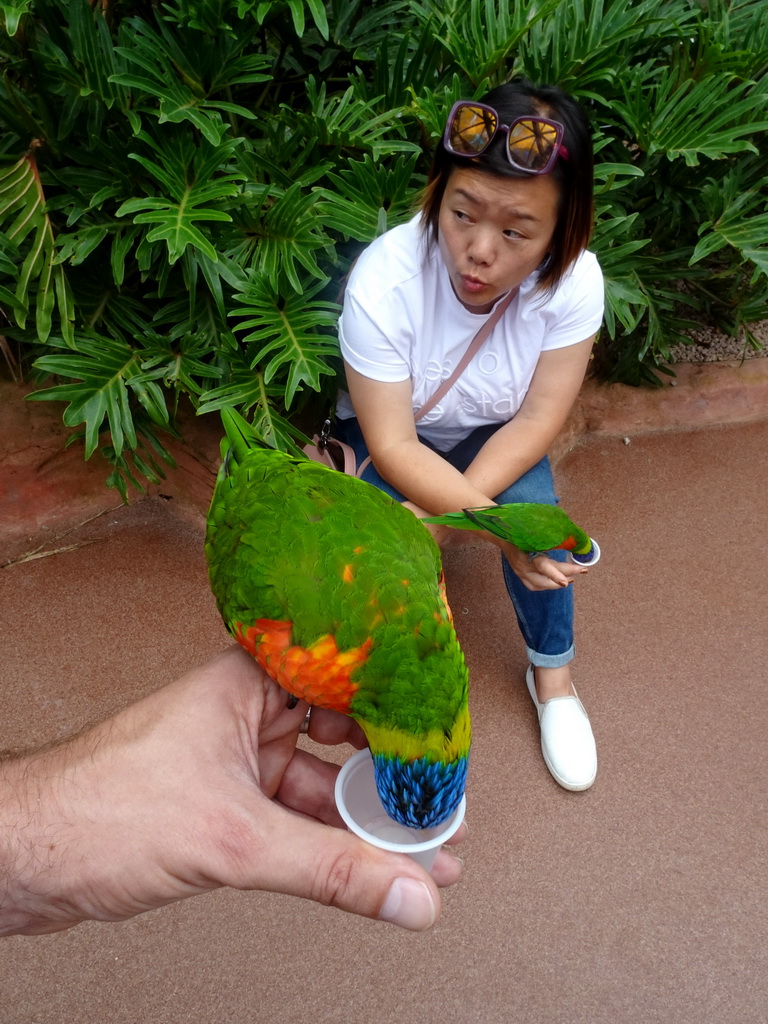 Tim and Miaomiao with Rainbow Loris at the Lori Landing building at the Vogelpark Avifauna zoo