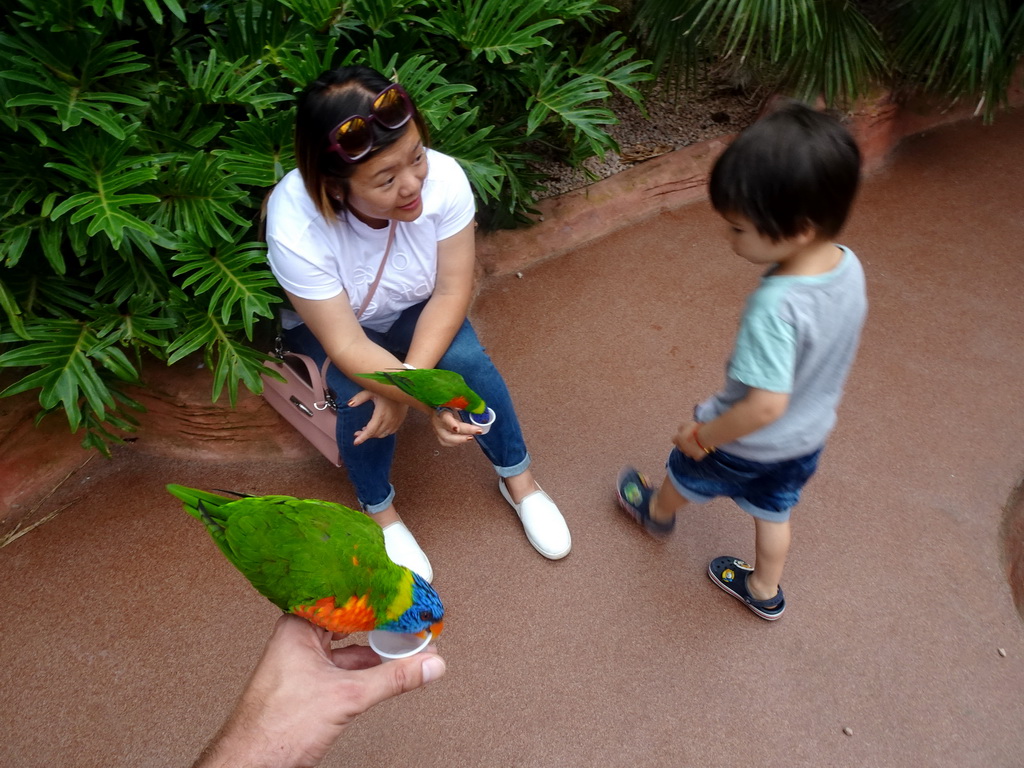 Tim, Miaomiao and Max with Rainbow Loris at the Lori Landing building at the Vogelpark Avifauna zoo