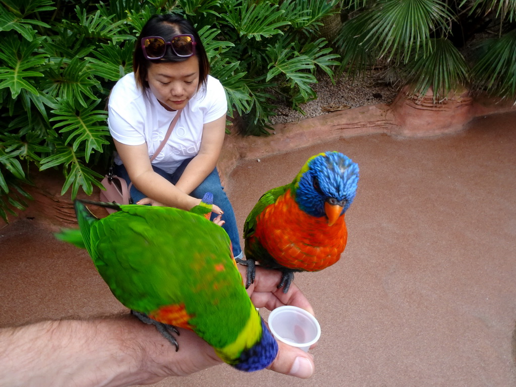 Tim and Miaomiao with Rainbow Loris at the Lori Landing building at the Vogelpark Avifauna zoo