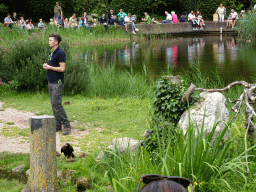 Zookeeper with a bird at the Vogelpark Avifauna zoo, during the bird show