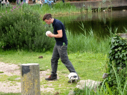 Zookeeper with a bird at the Vogelpark Avifauna zoo, during the bird show