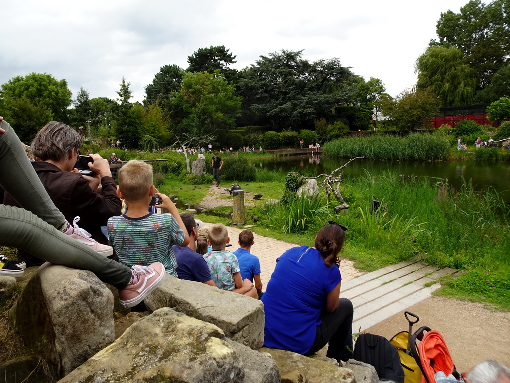 Zookeeper with Vultures at the Vogelpark Avifauna zoo, during the bird show