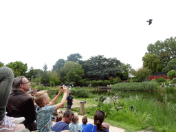 Zookeeper with Vultures at the Vogelpark Avifauna zoo, during the bird show