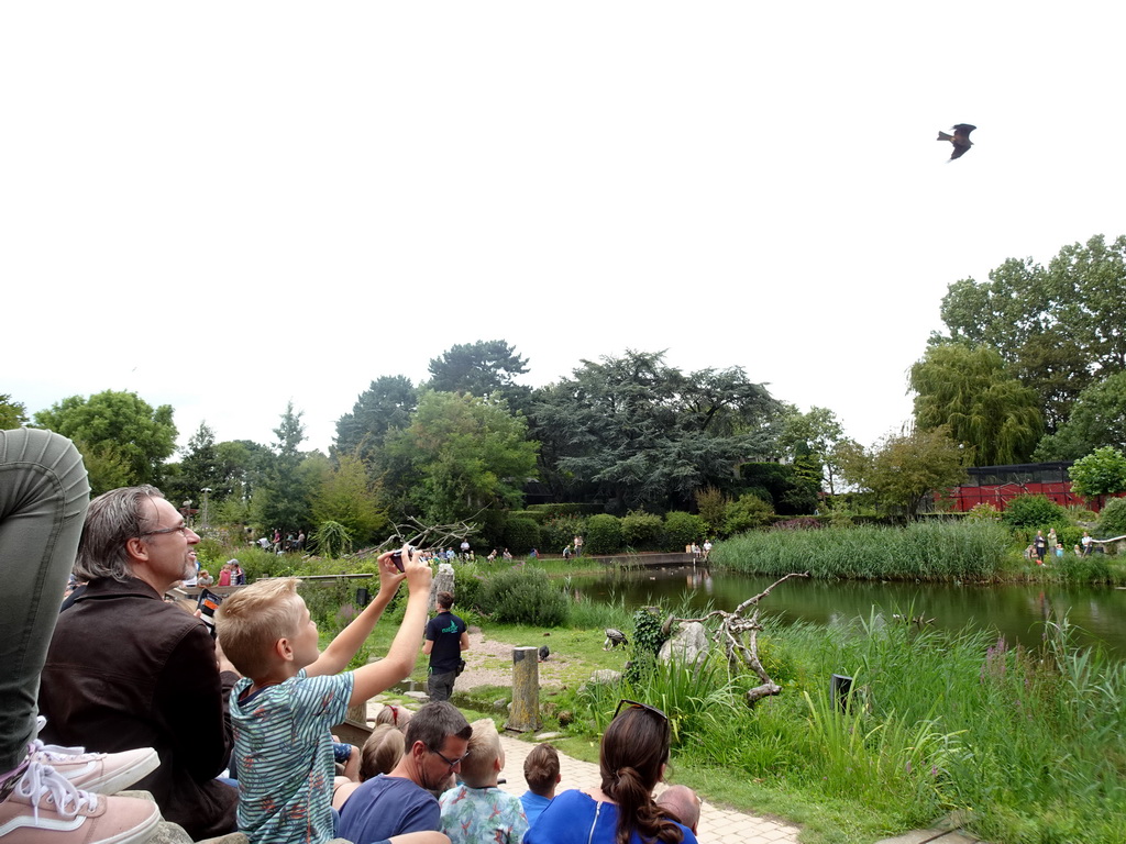 Zookeeper with Vultures at the Vogelpark Avifauna zoo, during the bird show