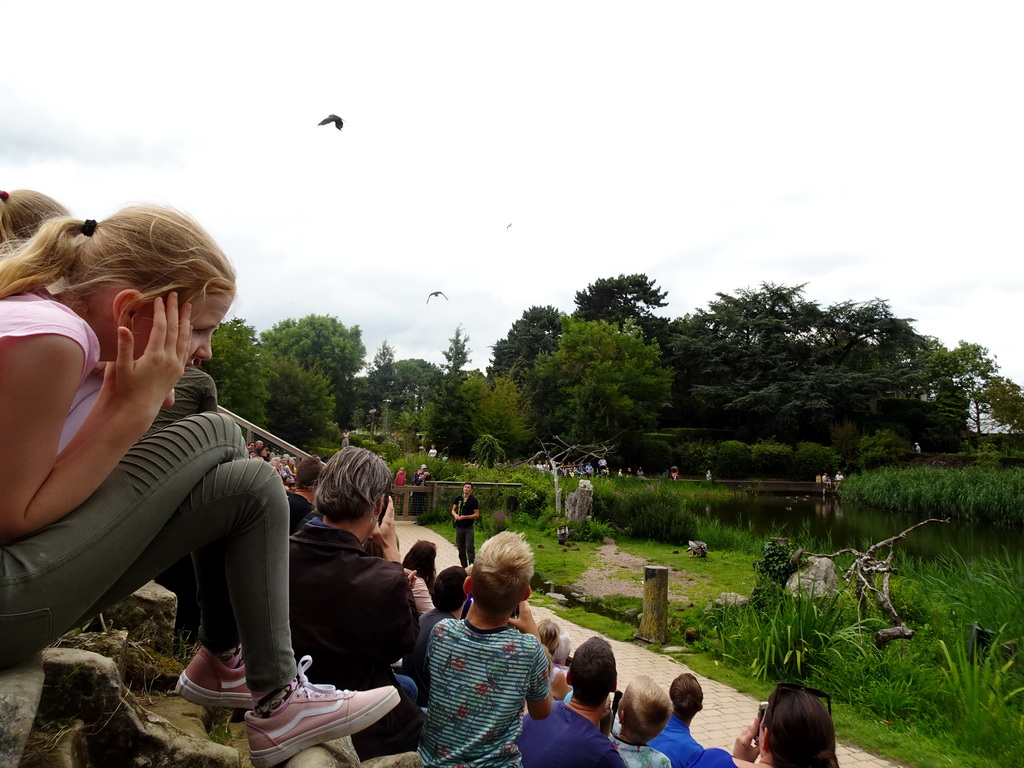 Zookeeper with Vultures at the Vogelpark Avifauna zoo, during the bird show