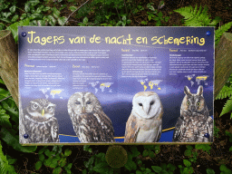 Information on the Little owl, Tawny Owl, Barn Owl and Northern Long-eared Owl at the Night Safari building at the Vogelpark Avifauna zoo